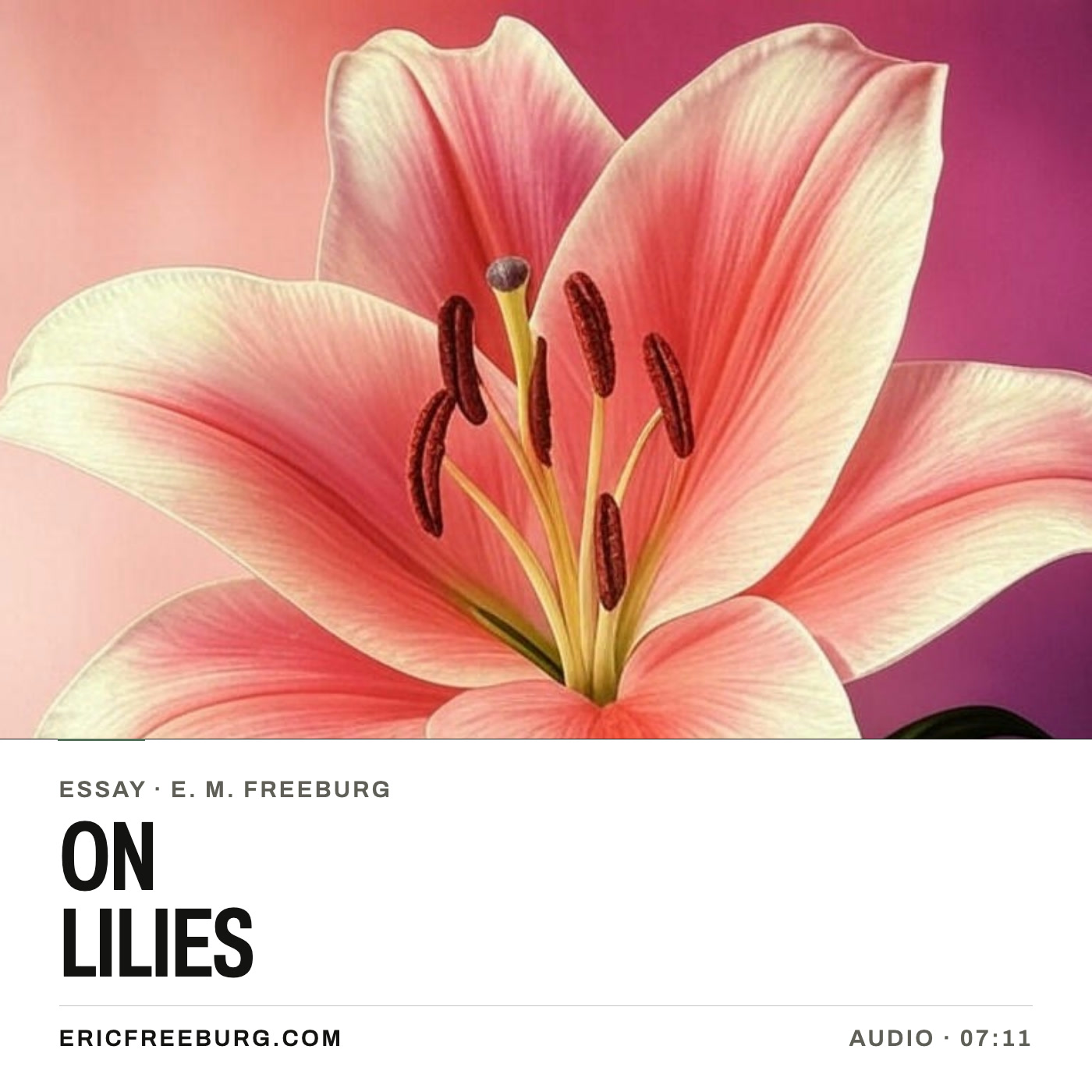 On Lilies: Her Fractal Essence episode artwork
